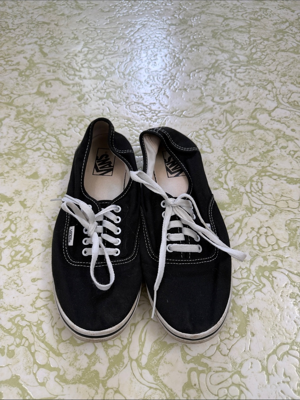 Vans Black Canvas Low-Top Sneakers with White Laces